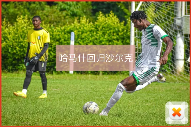 哈马什回归沙尔克