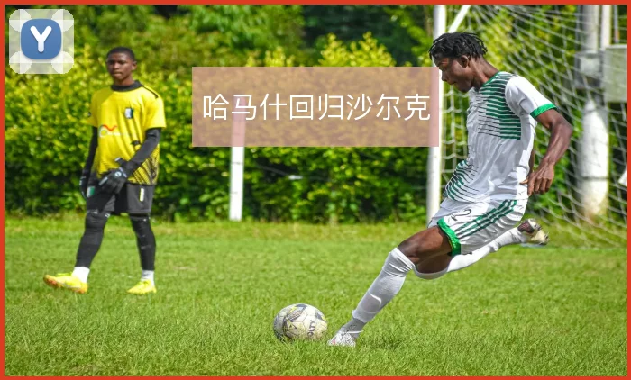 哈马什回归沙尔克